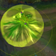 Illustration for article titled iLeague Of Legends/i Players Have An Expensive New Reason To Hate Teemo